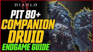 Companion Druid is INSANE! Pit 80+ Made Easy! // Diablo 4 Season 4 Druid Build Guide