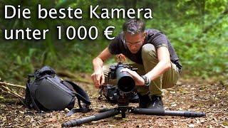 Die beste Kamera unter 1000 Euro  2022 / 2023 | MFT, APS-C, Vollformat