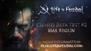 This World Awaits You - Life is Feudal: MMO