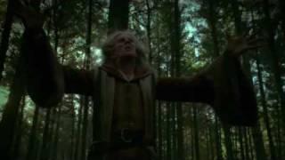 legend of the seeker - zeddicus zu'l zorander