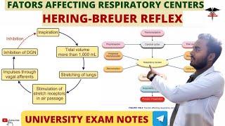 Hering-Breuer Reflex|| Factors Affecting Respiratory Centers|| Respiratory system physiology