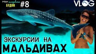 МАЛЬДИВЫ свидание с китовой акулой и др экскурсии ММБ #8