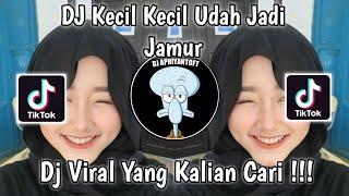 DJ KECIL KECIL UDAH JADI JAMUR JANDA JANDA DIBAWAH UMUR | DJ JAMUR VIRAL TIK TOK TERBARU 2023 !