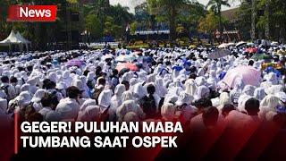 Viral! Mahasiswa Baru Kampus di Malang Banyak yang Tumbang saat Ospek