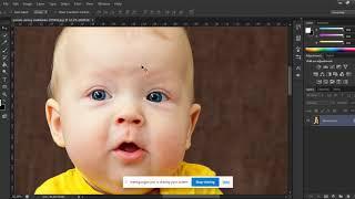 LEDP Graphic Design Full Course || Learning and Earning Development project 2020