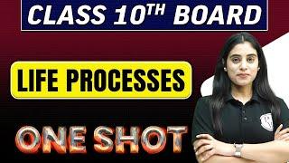 LIFE PROCESSES IN 1 SHOT || Class 10th Board Exams