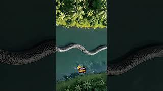 Nature Exploration | Amazon Jungle | Snake #shorts #video