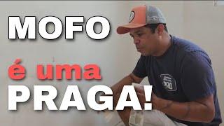 COMO ELIMINAR MOFO NA PAREDE DA SUA CASA