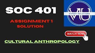 SOC401 || Assignment 1 || Fall 2023 || VU Expert Solutions