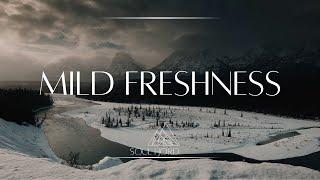 Mild freshness | Ambient music | relaxing & healing & meditation & study