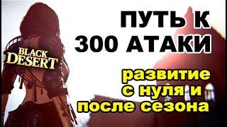 Путь к 300 атаки. Как развиваться после сезонного сервера в BDO - Black Desert