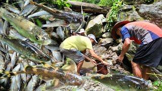 Traditional Way Of Fishing || Adi Tribes|| Arunachal Pradesh