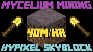 Mycelium Mining makes BANK! (40m/hr!) - Hypixel Skyblock #6