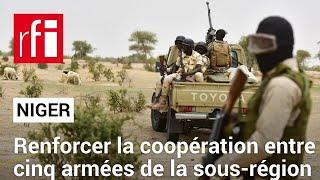 Niger, Mali, Burkina, Tchad et Togo mènent des exercices militaires conjoints • RFI