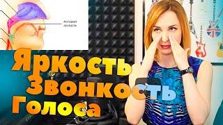 Резонатори голосу | Уроки вокалу Singwell Lesson 3