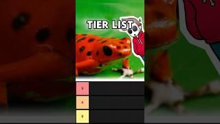 “Harmless” Looking Things Tier List