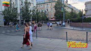  Vilnius.Summer walk around the city. Strawberry Festival. Gediminas Avenue. Lithuania/Litouwen