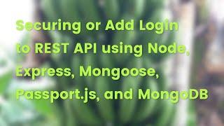 Node, Express, Mongoose and Passport.js REST API Login + Source Code