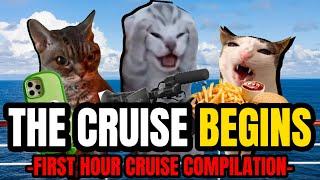 Cat MEMES:  THE CRUISE BEGINS - FIRST HOUR COMPILATION