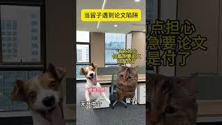 当留子遇到论文陷阱！这种情况千万要警惕！#留学 #留子 #搞笑 #funny #论文 #ddl