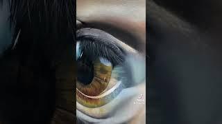 Oil Painting. Oil on Canvas. Hyperrealism in Surrealism . Horse Eye Painting. Art. Artwork