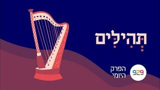 חצי שעה על הפרק היומי  |  דניאל שרשבסקי - שפוך חמתך על הגויים|  ספר תהלים פרק עט