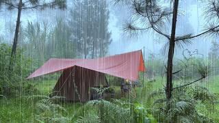 SOLO CAMPING HEAVY RAIN - RELAXING CAMPING WITH RAIN SOUNDS - ASMR