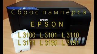 Сброс и замена памперса Epson L3100, L3150, L3101. Adjustment Program для L3110, L3111, L3151.