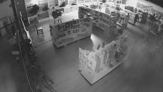 10 suspects sought in caught-on-camera burglary at Rocklin camera store