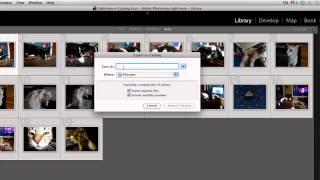 How to Export Lightroom Catalog