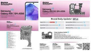 DAILY UPDATE BORNEO SCHEMATICS 7 January 2025 -  Samsung Galaxy A55 5G