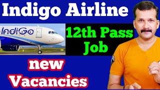 Indigo Airlines job Vacancy 2021| Airlines Job Vacancy 2021| Airport Job Vacancy 2021 |  @flyair ​