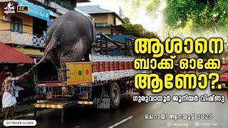 ഗുരുവായൂര്‍ ജൂനിയര്‍ വിഷ്ണു | Guruvayur Junior Vishnu | Guruvayur Elephant #elephant #aana