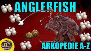 ANGLERFISH | ARKOPEDIE #5 | Taming/ochočení