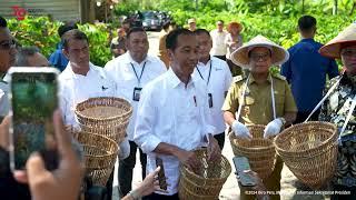 Keterangan Pers Presiden Jokowi usai Tinjau Panen Kopi, Lampung  Barat, 12 Juli 2024