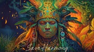 The SHAMAN Energy Meditation Rhythms of a PRO