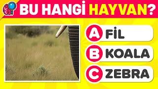 HAYVAN BULMACA YARIŞMASI : 10 Hayvandan Kaçını Bulabilirsin? Eğlenceli Hayvan Bulmacaları