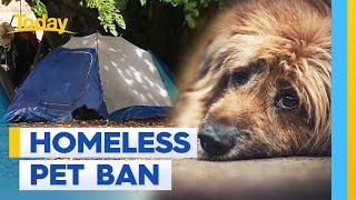 Queensland council bans pets for rough sleepers | Today Show Australia