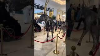 Mall of bahrain #bahrain #youtubeshorts #mrmrsnagi