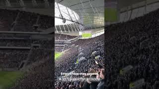 “Chelsea get battered everywhere they go” sung by Spurs fans