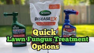 How To Treat Lawn Fungus Quickly|Treat Lawn Fungus With Three Big Box Store Products