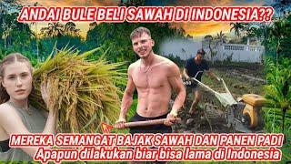 GAWAT, ANDAI BULE BELI SAWAH DI INDONESIA,