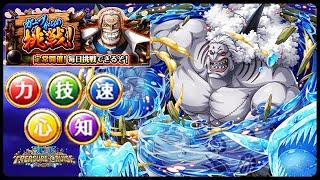 [OPTC] Garp Challenge 10 Hody (All Colors)