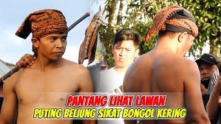 PERTARUNGAN KERAS BONGOL KERING vs PUTING BELIUNG NARMADA, RAJA SAWER RELA DATANG DARI LOTIM KE MATA