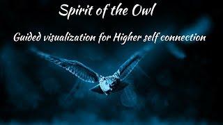 Meditation for connection to Higher Self | Spirit of the Owl