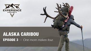 HUNT Episode 3 — One More Makes Four (Caribou in Alaska) — The Experience Project