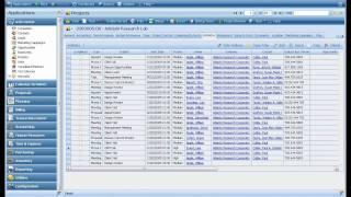 Deltek Vision CRM 4 Minute Video Demonstration