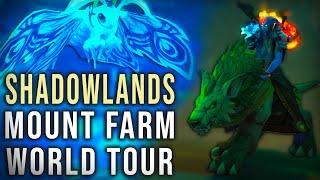 WoW Mount Farm World Tour - Shadowlands - Maldraxxus/Ardenweald