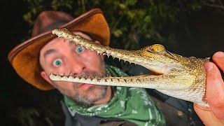 Catching Freshwater Crocs in Dangerous River!