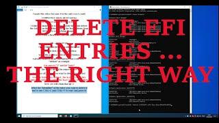 remove uefi EFI bios entries COMPLETELY